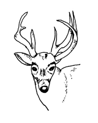 Ancient People - Deer