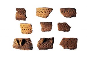 Various rim styles found on ceramic vessels from the Ward site.