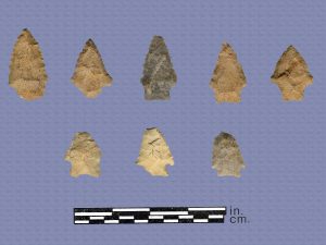 Projectile points: (bottom row) Early Archaic bifurcate base and corner-notched points ; (top row) Middle and Late Archaic points