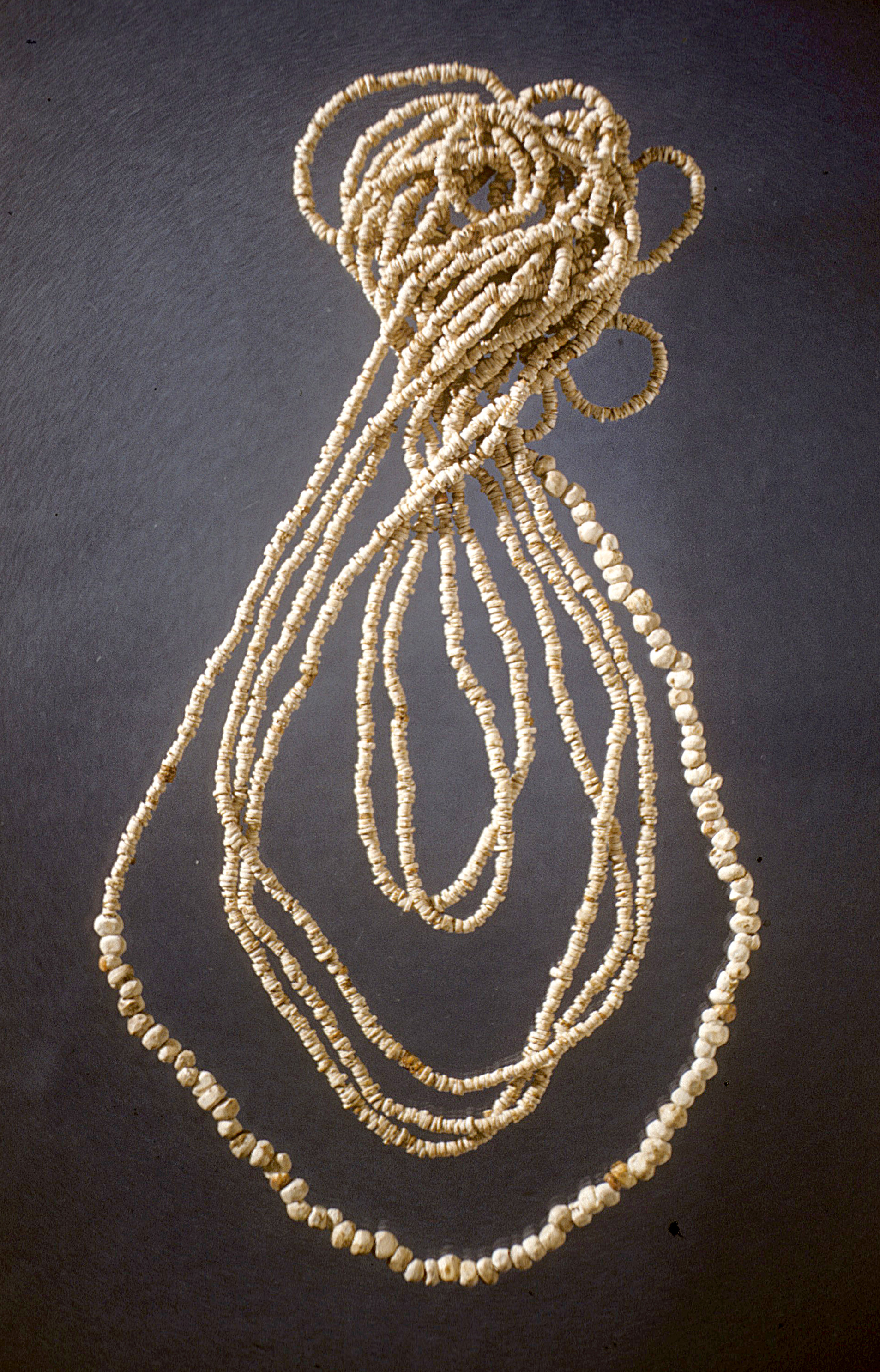 Shell beads found during the 1941 WPA excavations.