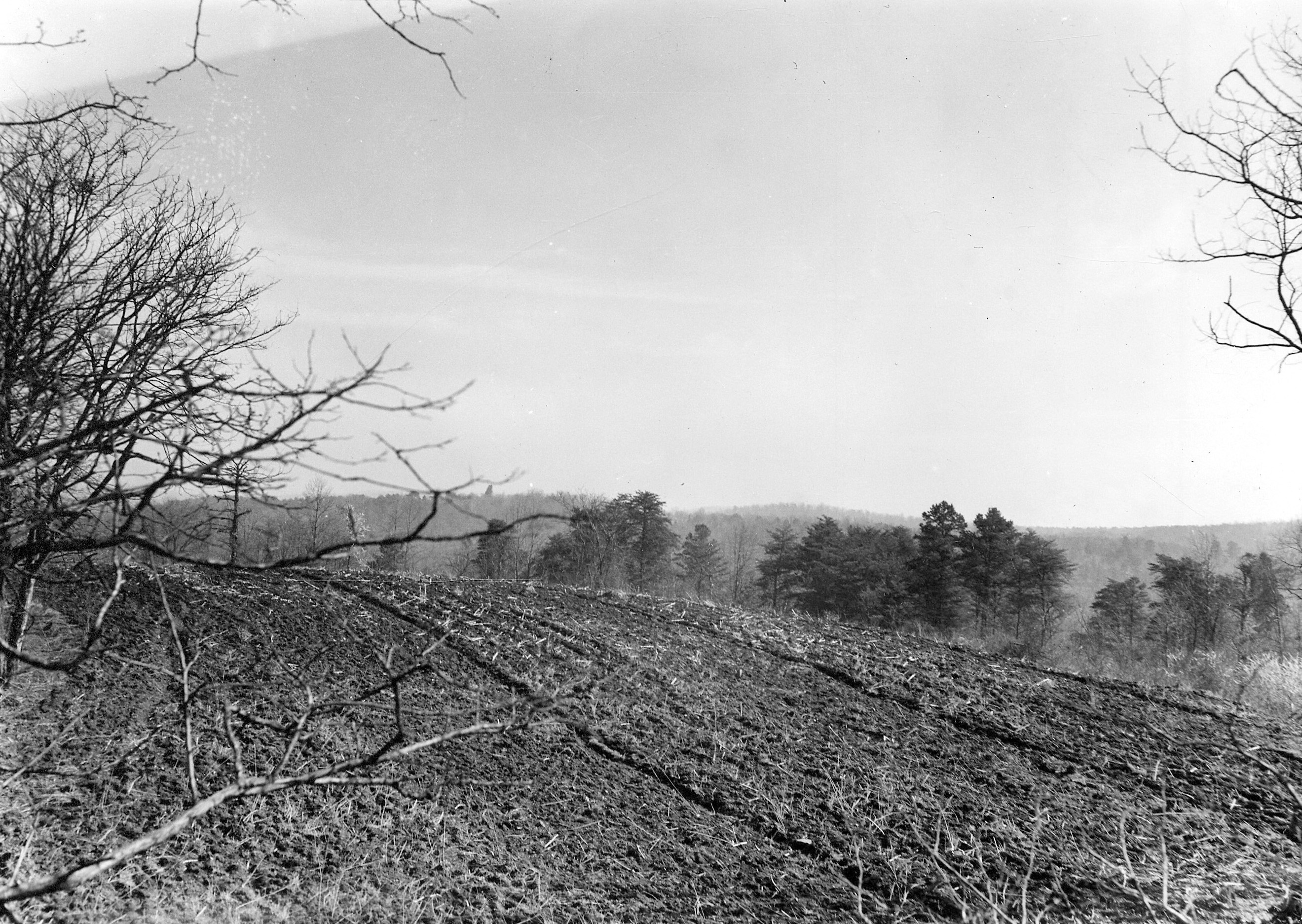 View of Hardaway Site On Top of Ridge (1938)