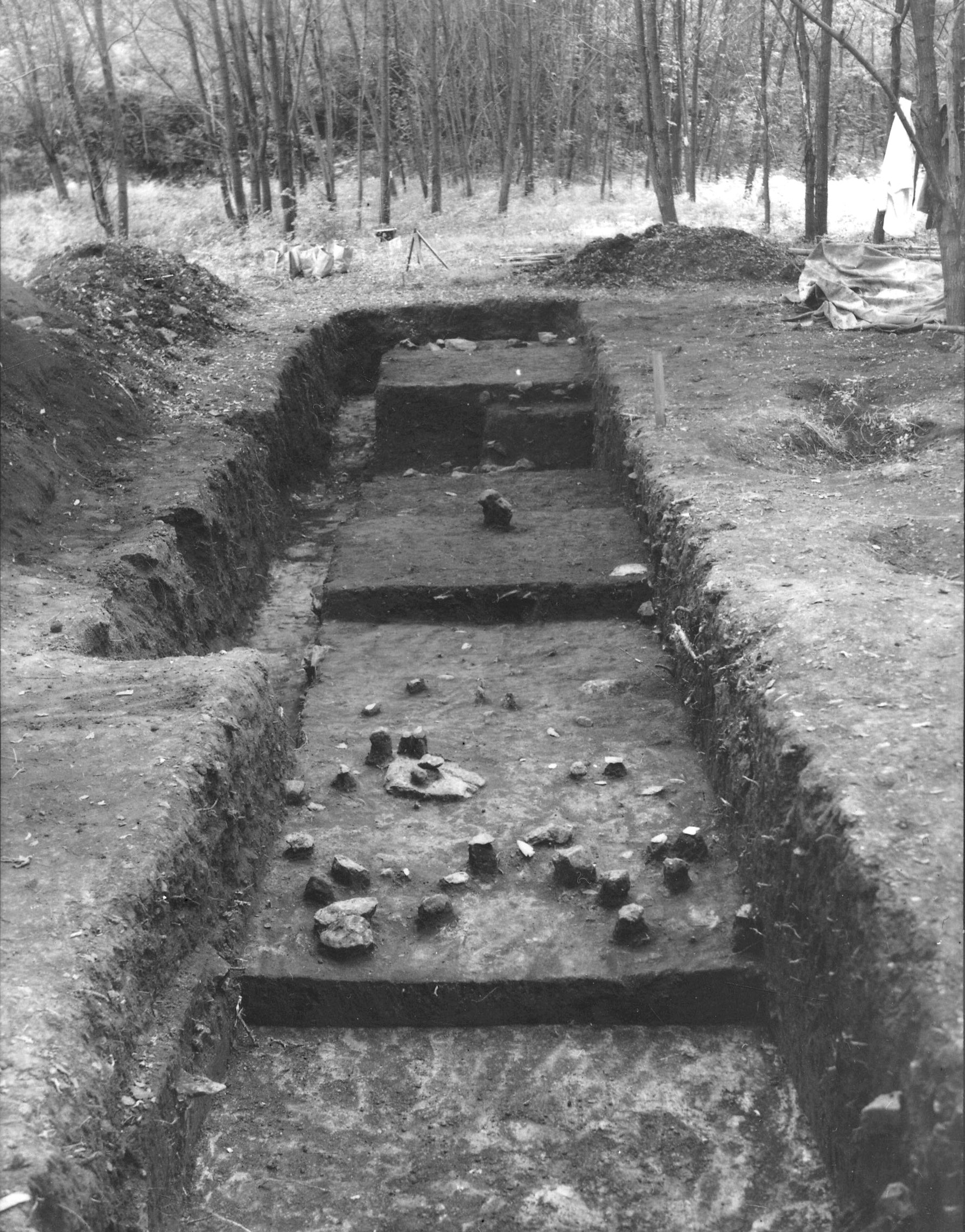 L5 Trench at Hardaway Site (1959)