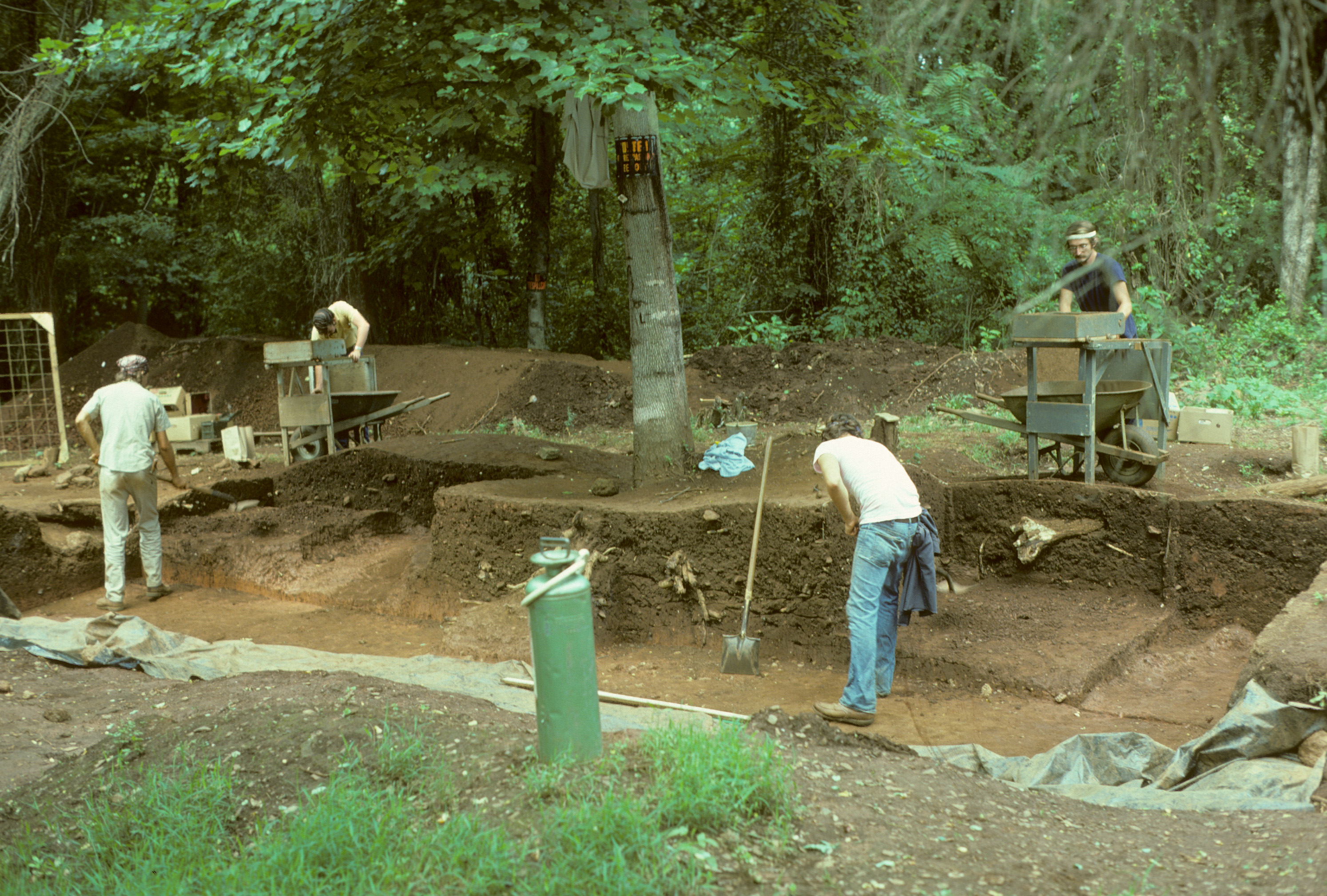 Overall view of excavations at Hardaway (1976)